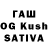 Псилоцибиновые грибы Psilocybine cubensis DuBnO_OnLiNe :3