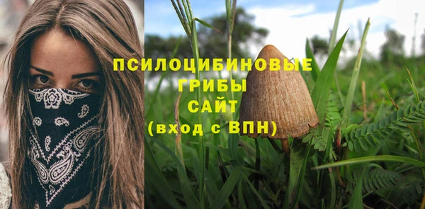 дурь Кинешма