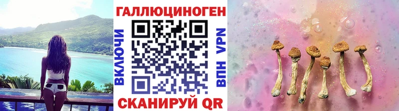 Купить  Емва  Псилоцибиновые грибы Psilocybe 