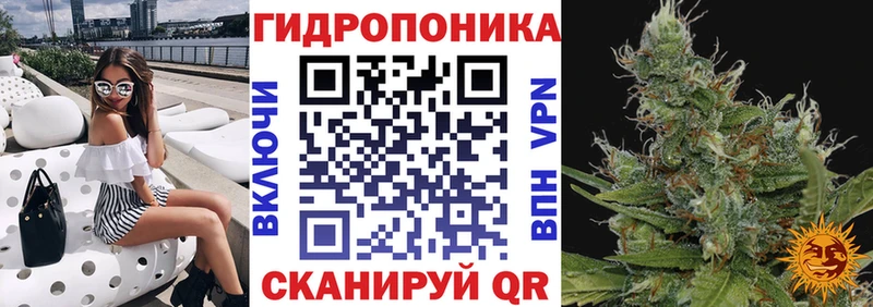 Купить где  Емва  Конопля марихуана 